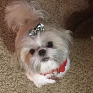 Meet your Posher, Kaylee